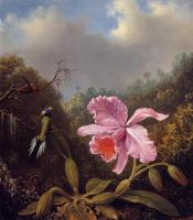 Heade, Martin Johnson